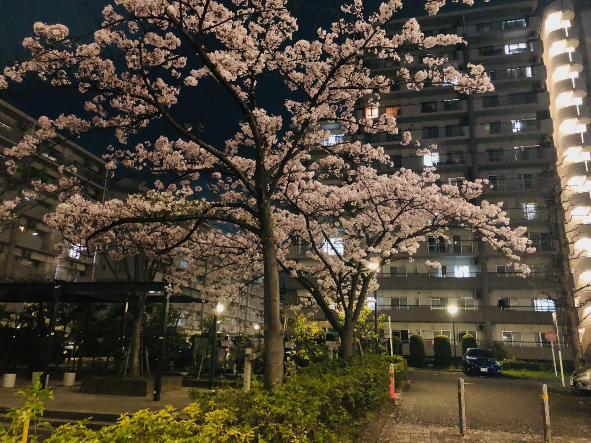 Jl 東京 House - 駐車場付き築浅のまるごと貸切住宅 Tokyo prefektur Exteriör bild