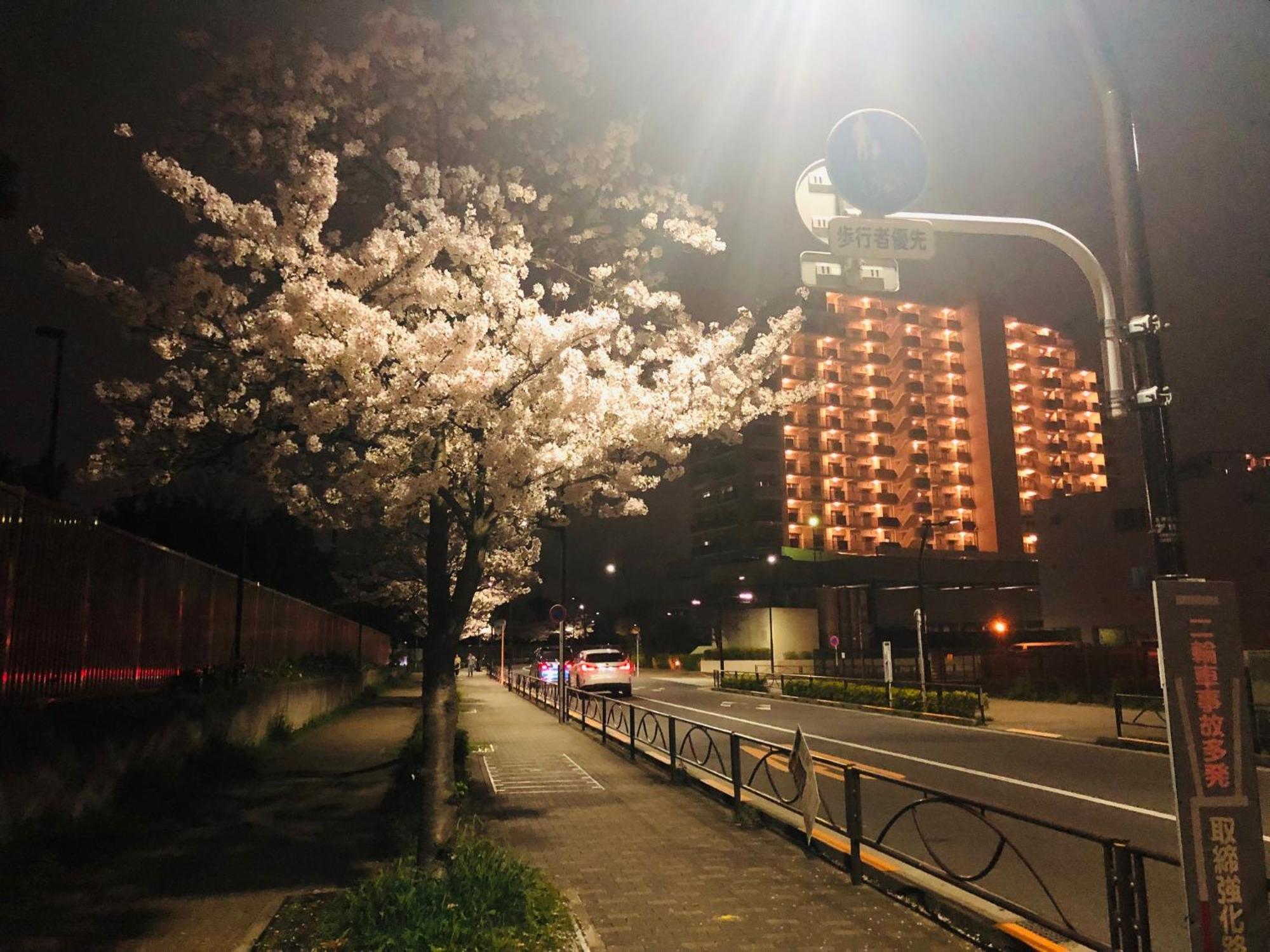 Jl 東京 House - 駐車場付き築浅のまるごと貸切住宅 Tokyo prefektur Exteriör bild